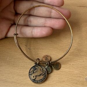 Vintage Alex and Ani Capricorn Zodiac Bracelet